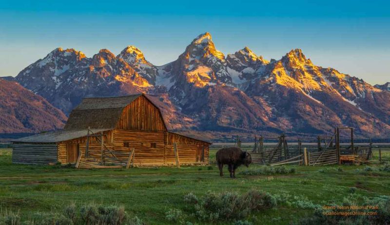 grand teton sunrise.jpg
